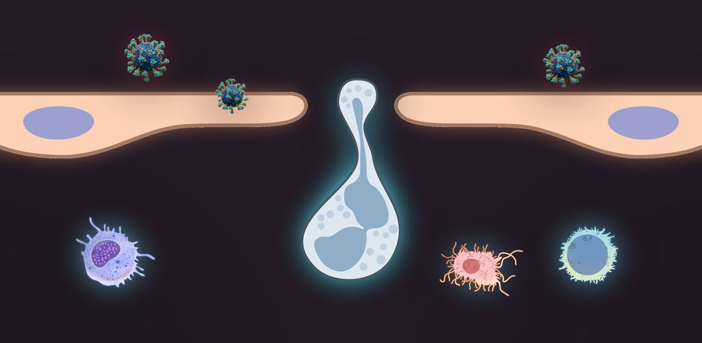 Diapedesis key art
