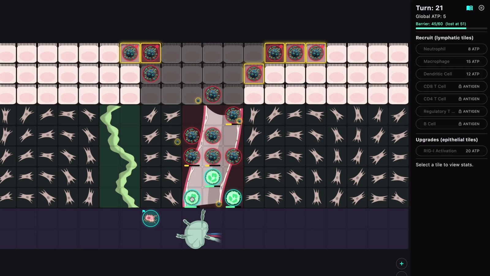 Diapedesis screenshot