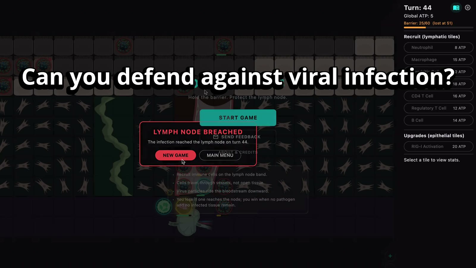 Diapedesis screenshot